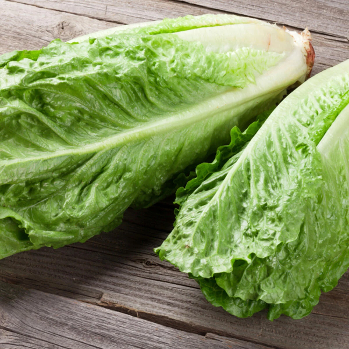 Romana Salat